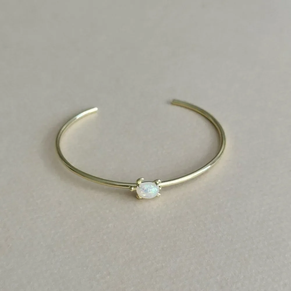 Turtle bracelet #2438